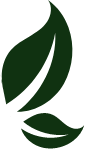 Logo Herbata